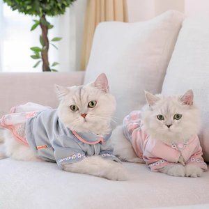 🎄Christmas gift for your cat - Dress for little dogs/cats